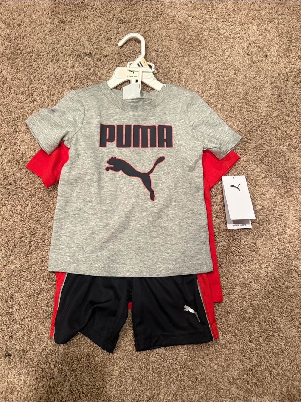 Puma